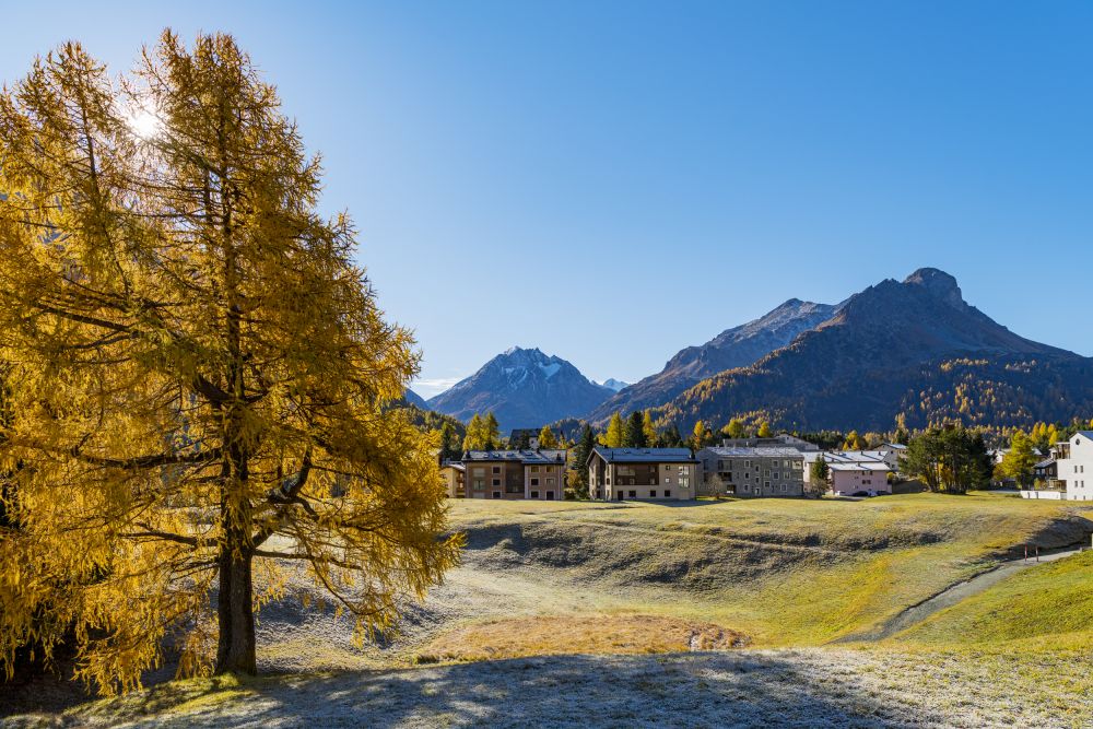 Bregaglia Valley