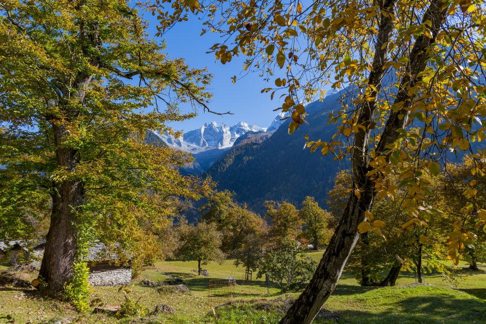Bregaglia Valley
