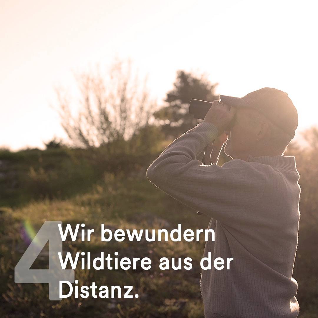 4 Wildtiere