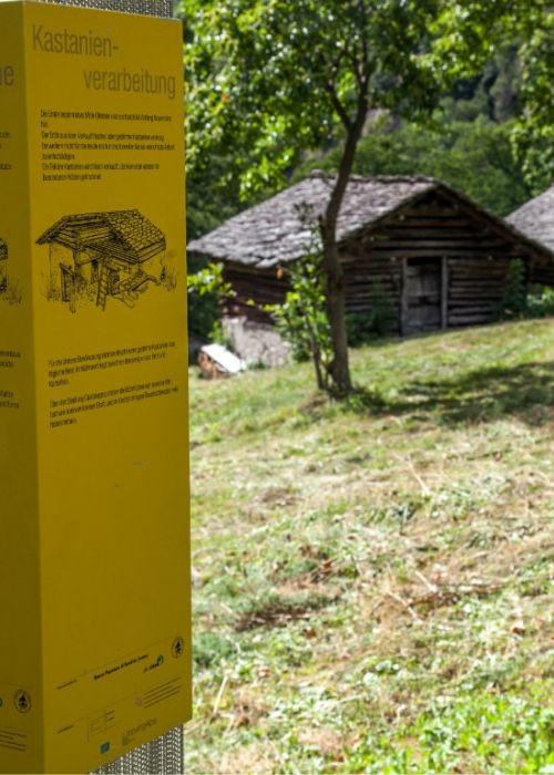 Der Lehrpfad