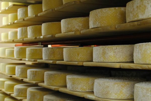 Cheesefarm Pungel